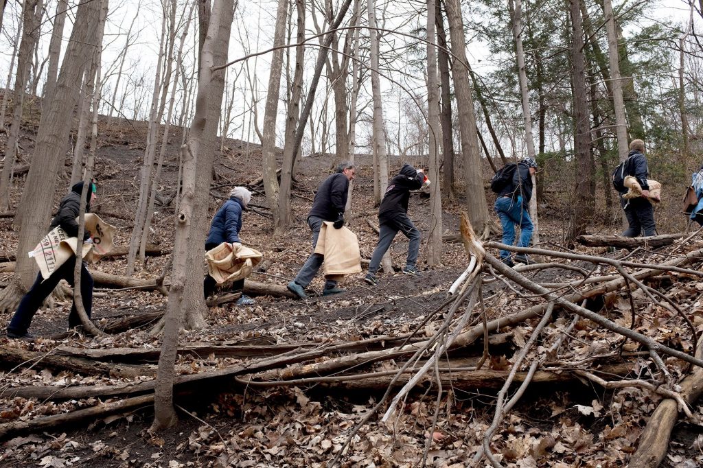 Don Valley Clean Up – Ravine #13